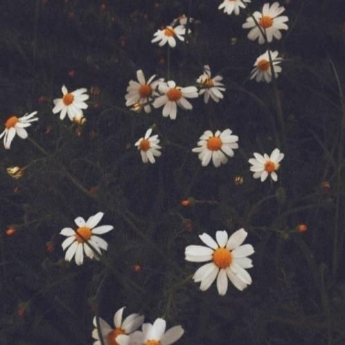  این جمله ی منه دوست دارم خیلی زیاد