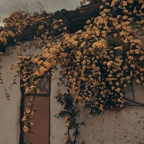  بذار بره هر جا میخواد مهم نیست حرفا زیاد زل زدم به آسمون از ابر برفا میاد