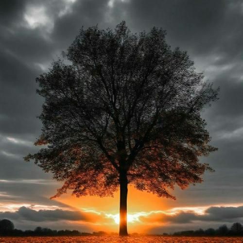  یه روز دلت تنگ میشه برام اون روز و میخوام ببینم تورو یه ثانیم