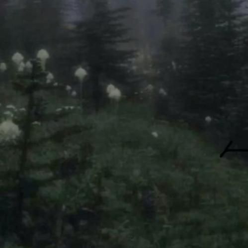 خارجی ازت میخوام که زمان رو متوقف کنی لحظه ای که