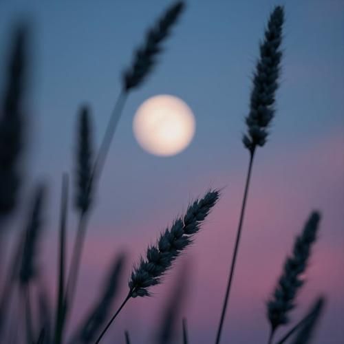 Ghris Grey Cold Blooded