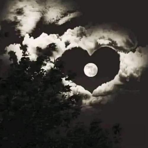  میگه از ما ببیننش چون از ما بگی تو چشمی بعدش