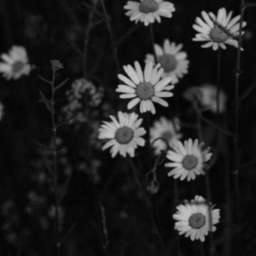 اگه قراره من یادت برم نرو وا کن این درو