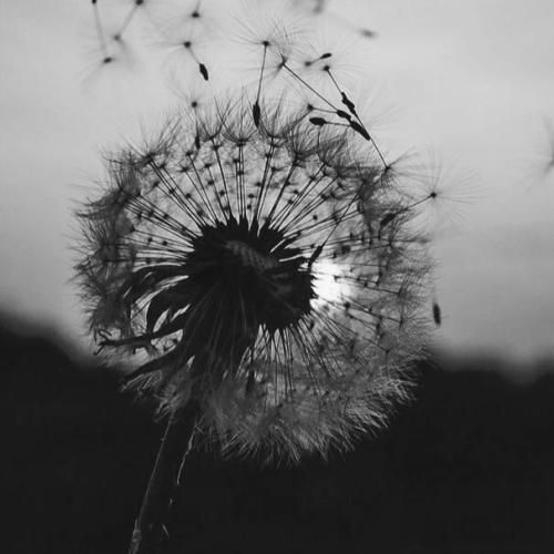  من افتادم به دامنت زدم قلبو به نامت هوش مصنوعی