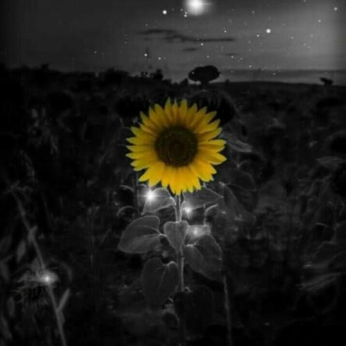  آشیونمو خورد توی جنگ تموم من از اون کوچیدگانم به درون