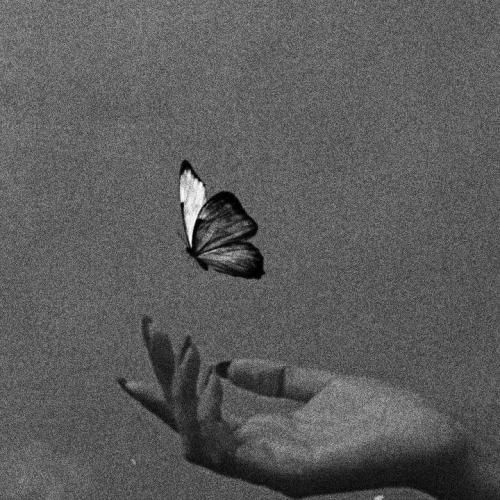 به تو نامه می نویسم نامه ای نوشته بر باد هرکی بود تو راحت