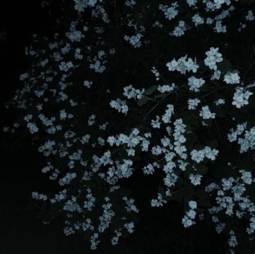  گفتم حرف نزنم باهات شاید بهتر بذارم یه چند روزی بگذره