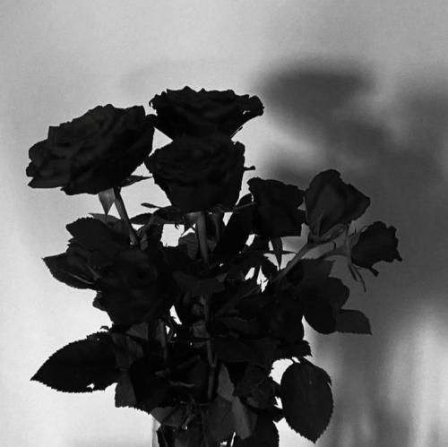 اگه نمیکنه انی وی ولش گاد نمیذاره بری ناراضی