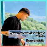 دانلود آهنگ های شنیدنی علی احمدیانی _ ریمیکس