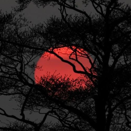 میرم و تو بعد رفتنم دیگه دنبالم نیا حتی بعد