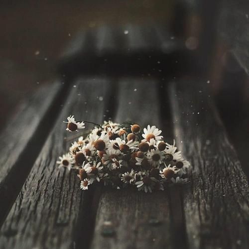  مث من کی میسوزه پای تو کی میمیره واسه