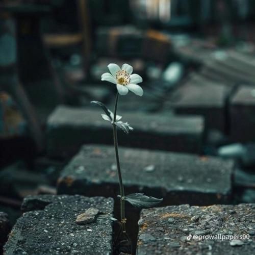  حیف حضور تو بند به مو بود بعضی موقع ها همچی هست