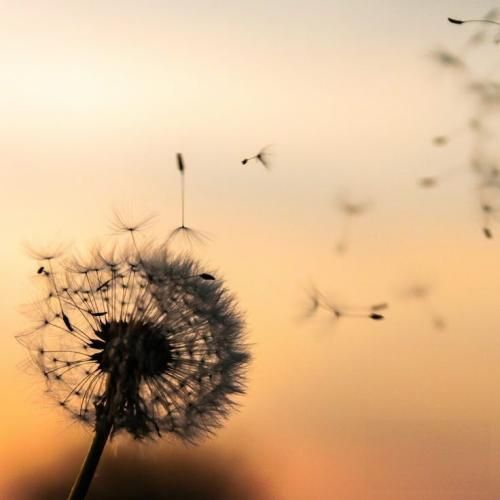  حرف دل تو دل بمونه بهتره رازتو کسی ندونه بهتره