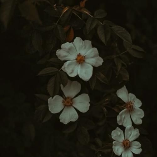  همه یار دارن و بی یار ماییم لباس کهنه بازار ماییم