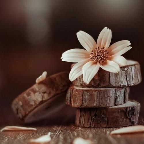 که میگی من نامردم آخه مگه من چه کردم