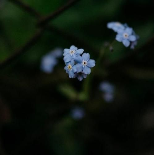 اگه از دست همو بدیم دیوونه میشم فقط منو ببین از پیشم نه نرو