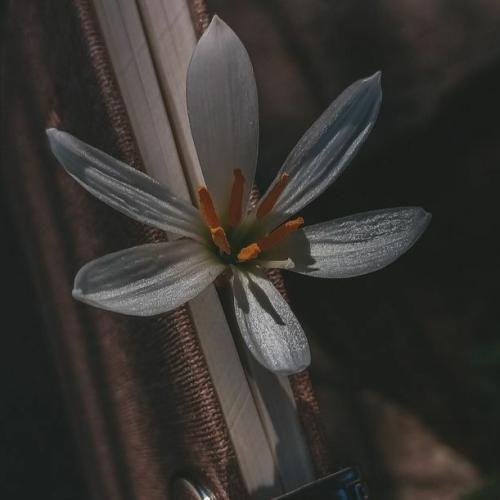 ترکی فقط دوست داشتن یک طرفه کافی نبوده