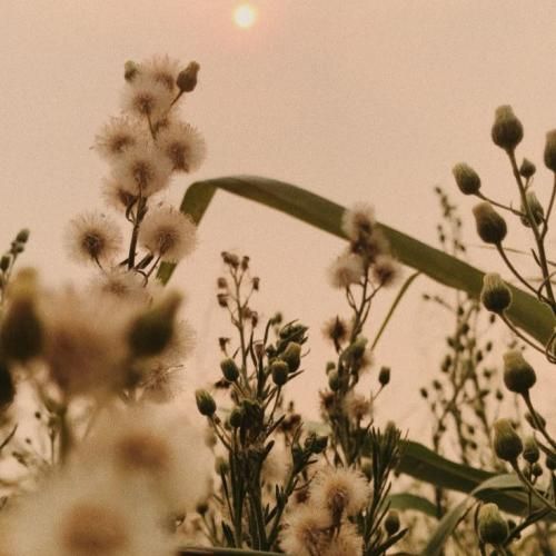 بی معرفت بدیات چرا یاد من نمیره میخوای با من بمونی