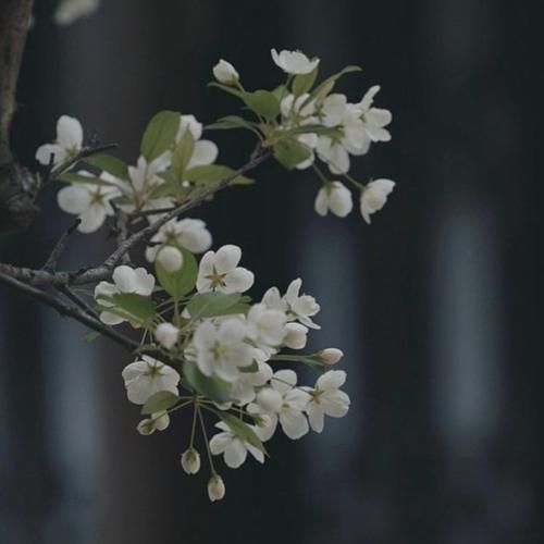  منو میشناسی نه به موقعش احساسی ام