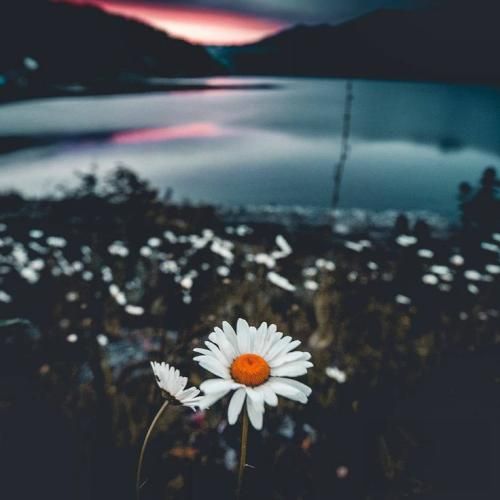 تو که چشمات دیگه سویی نداره طاقت دیدن دوری نداره