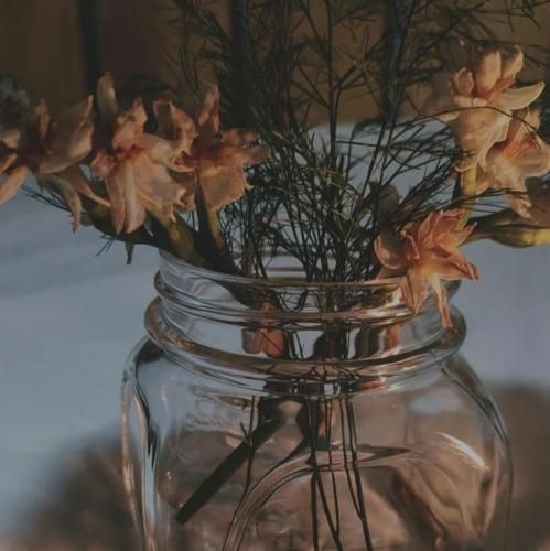 دانسی میام دیرین دیرین داف میریزه