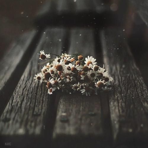  افغانی چی دوسداری بشنوی از قلبم بگم دوست داروم