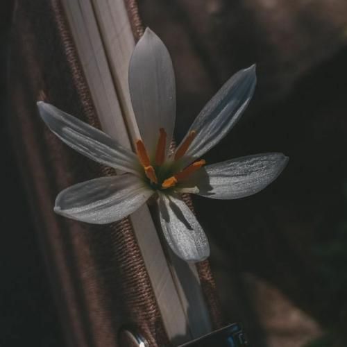 باز رسیدم به تهش لعنت به اونی که الان ماهته