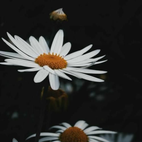 دنیا كه این جوری نمیمونه همیشه