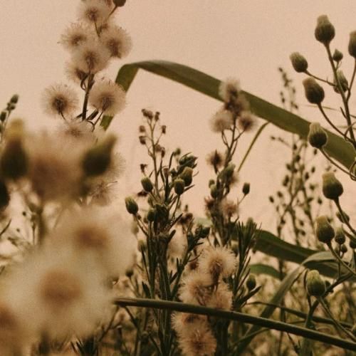 زندگی به لحظه هاست خوشی ها و خنده هاس