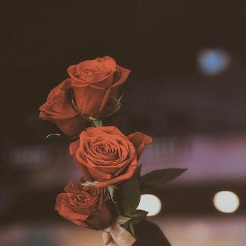 بایلا بایلا چرا فسن دخملا