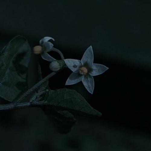 برو برو دلم تو رو نمیخواد دیگه نمیخوام ببینمت میکس خارجی