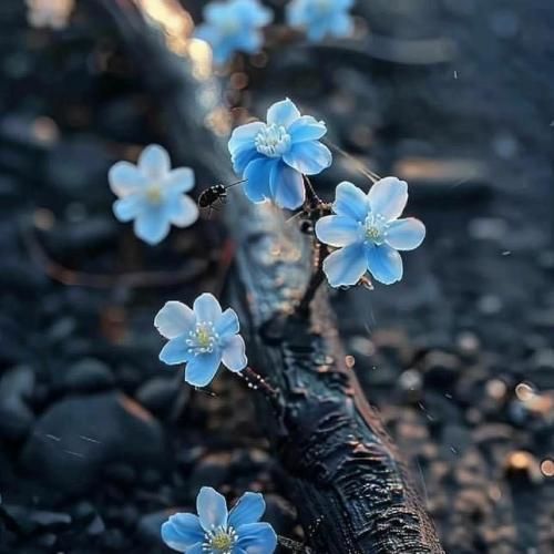 همه دوستن بام نمیمونم اینجا من یه روز تنها