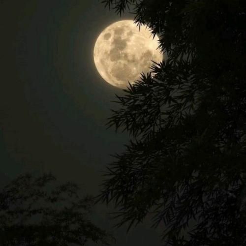 فهمیدم فاصله احترام میاره