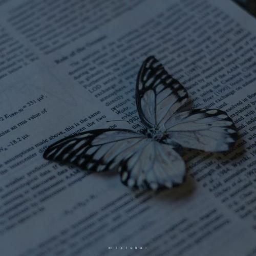 چشا میزنه دو دو حالتا کتامینی پاها پلاتینه