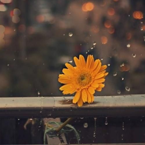  دوباره برف جاده سفید دوباره عکس قاب و یه فیلم