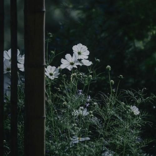 الان بغض تو گلومه گمونم تو منو منو میدونم