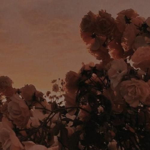 تو که رفتی من دق کردم دو سه شبم هق هق کردم