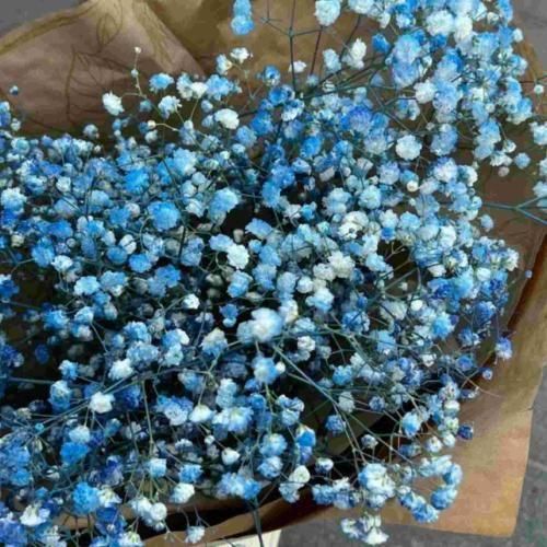 گوشیم تو شارژه جز همه وقتا که هست روی سایلنت