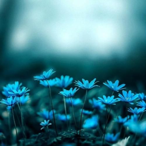 بازم نوبت رقص قلمه بنویسم از تو و نقشه بدنت