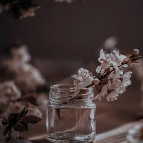  افغانی بیخوابوم رفته پس د جانم الکل گلاس هایم قطره