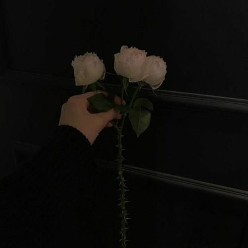  میگن اسمش ثریاس چشاش همرنگ دریاس