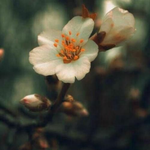 بالا بالا بالا بالا بالااا ترند اینستایی