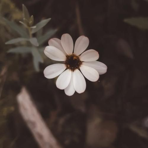  دختر خوشگل تو چقد بلایی چن روزه پیدات نمیشه