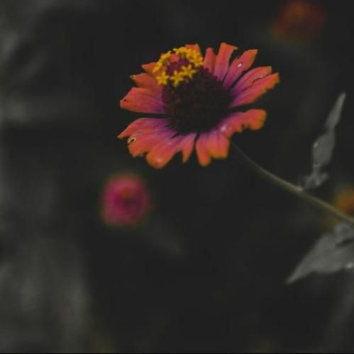  مست و پاره رو برفم الان دیگه کسی سمتم نیاد