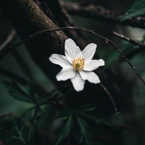  نزن از خنه بیرون نشو سمت بلیرون