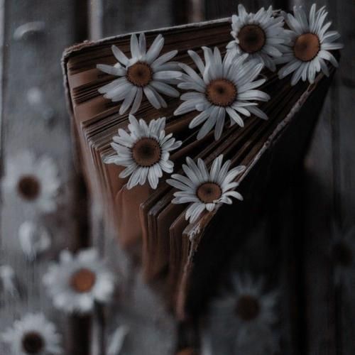 وقتی میشکنم با من میشکنی صدام که میکنی