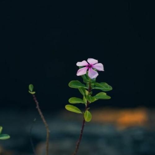 عزیزم همگی من تو شکوه ما از نو تو پر از نوری میکس خارجی