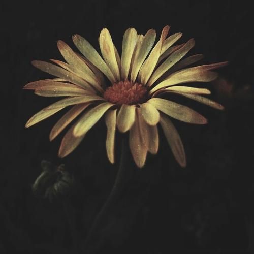 Irem Derici Degmezsin Aglamaya