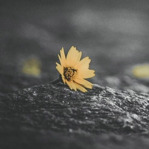  من میرم جای تو ولی هیشکی نمیشه عشق بچگی