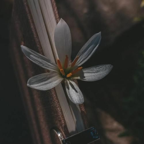  بعد این همه وقت نرسیدن گذاشتی جا منو بگیرن